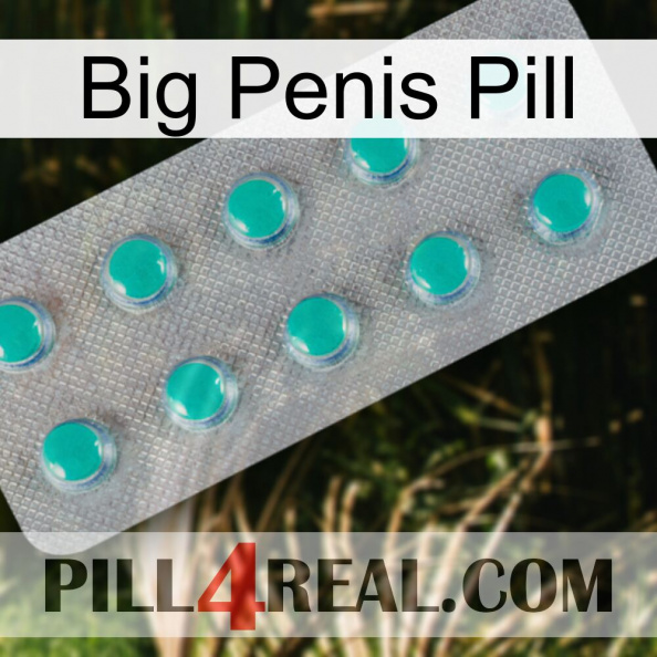 Big Penis Pill 28.jpg